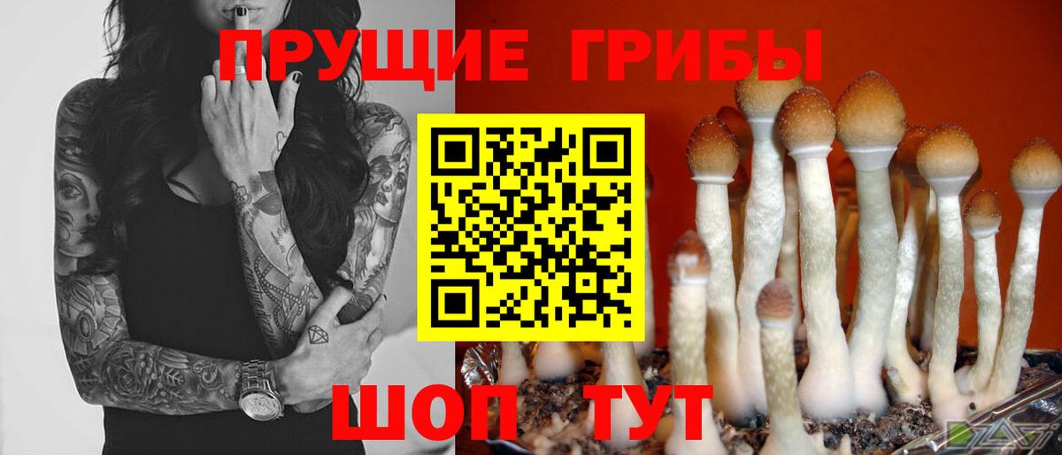 Унеча  Псилоцибиновые грибы прущие грибы  Вход с VPN 
